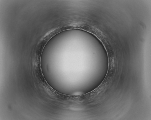X0000112481158200908241248