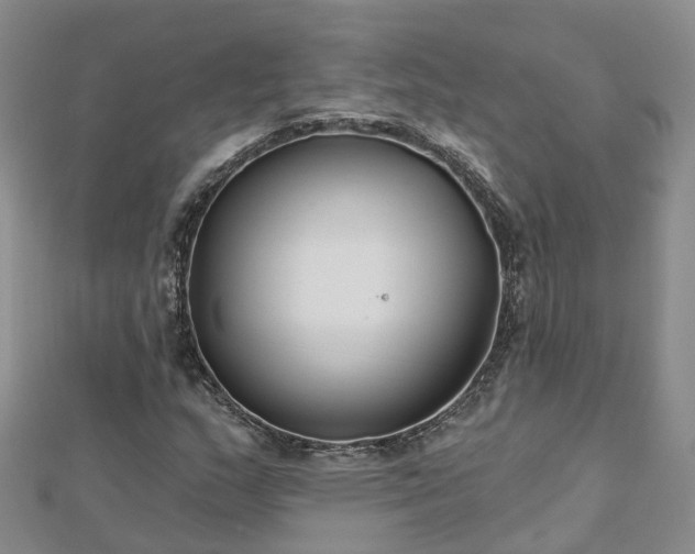 X0000112481159200908241248