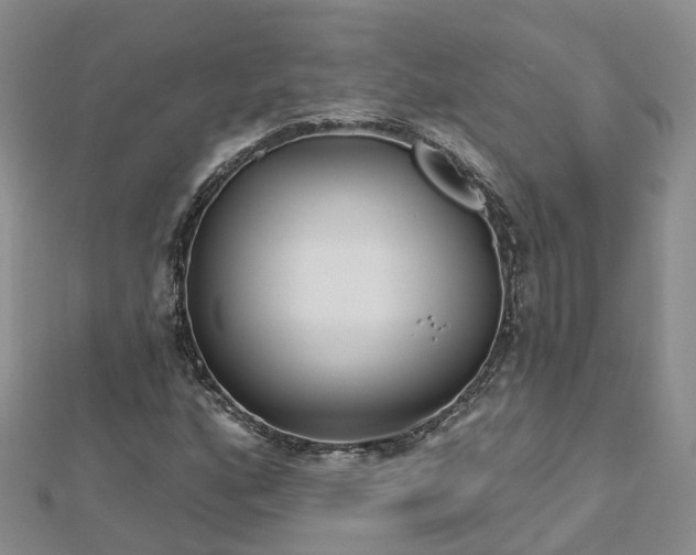 X0000112481160200908241248