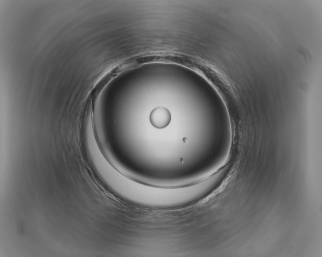 X0000112481162200908241248