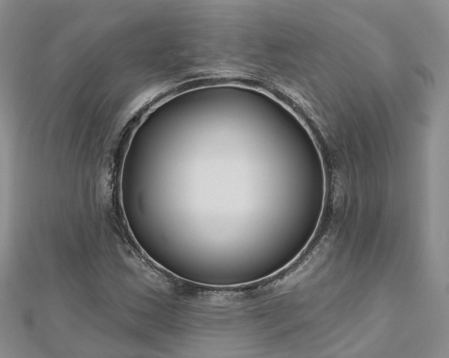 X0000112481163200908241248