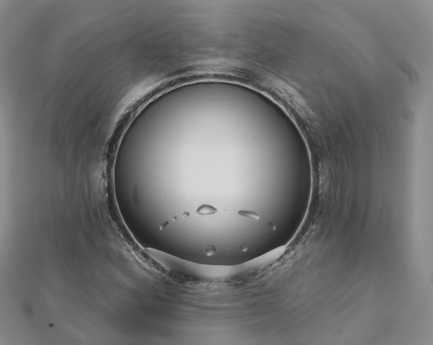 X0000112481164200908241248