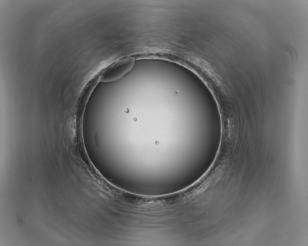 X0000112481165200908241248