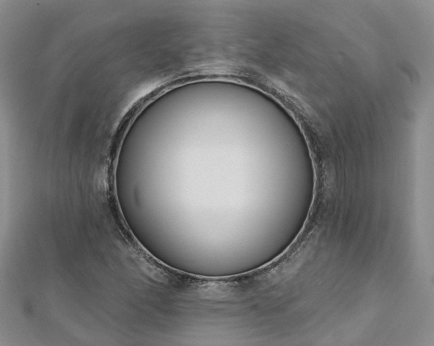 X0000112481166200908241248