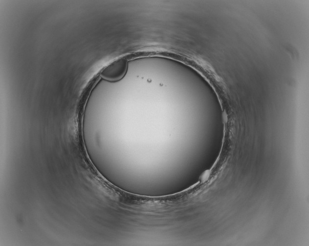 X0000112481167200908241248