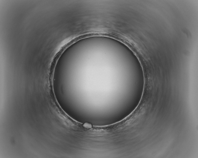 X0000112481168200908241248