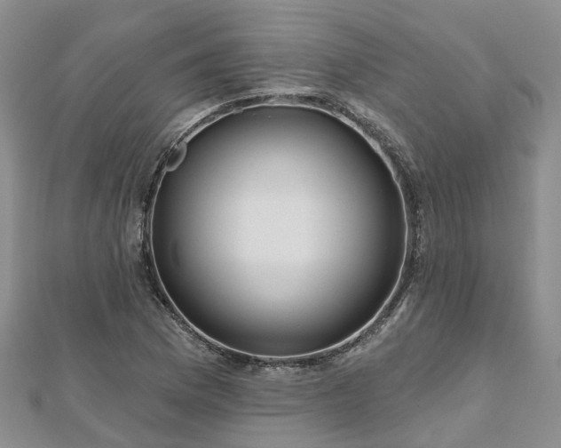 X0000112481169200908241248