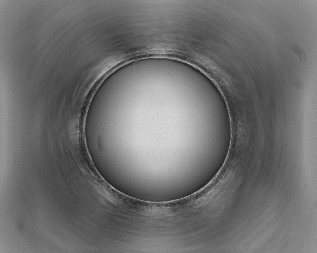 X0000112481170200908241248