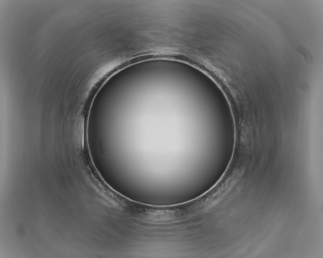 X0000112481171200908241248