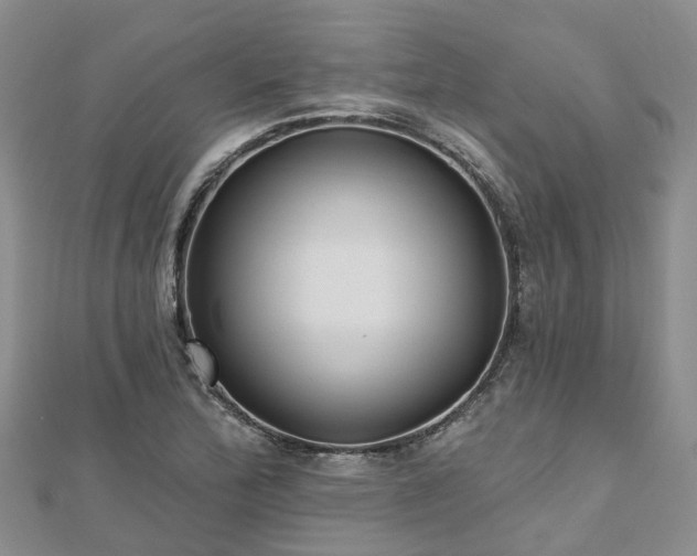 X0000112481172200908241248
