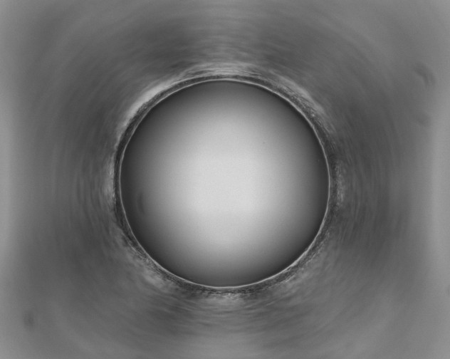 X0000112481174200908241248