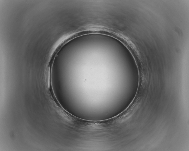 X0000112481175200908241248