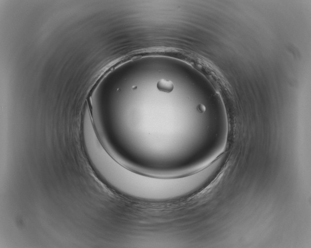 X0000112481177200908241248