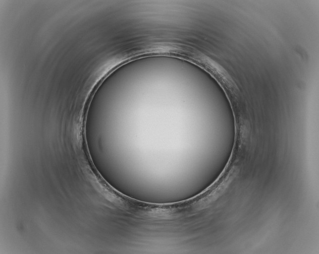 X0000112481178200908241248