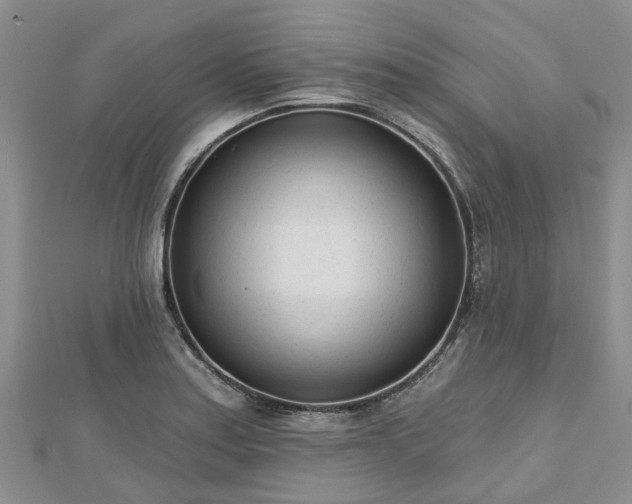 X0000112481179200908241248
