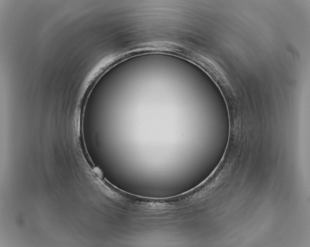 X0000112481180200908241248