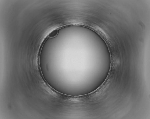 X0000112481182200908241248