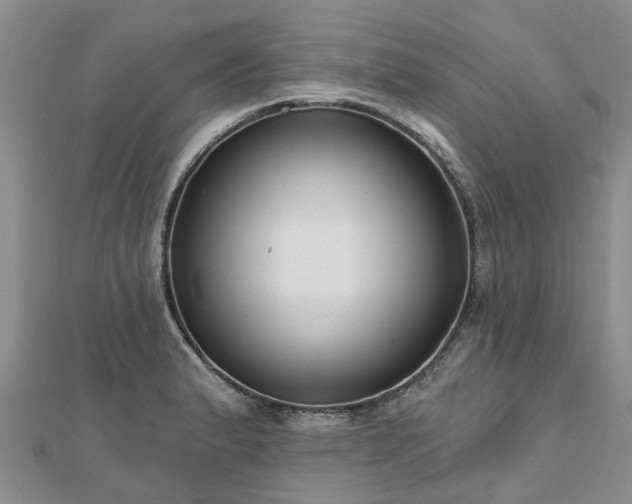X0000112481183200908241248