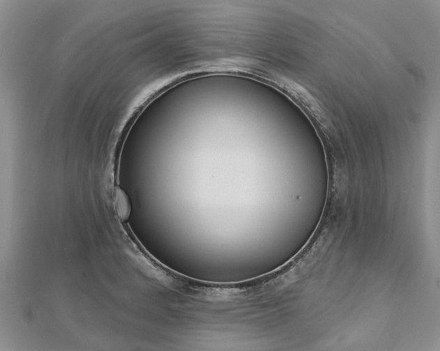 X0000112481184200908241248