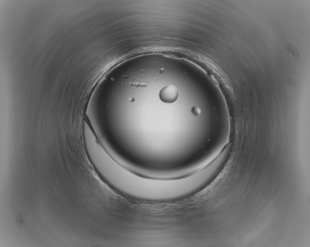 X0000112481185200908241248