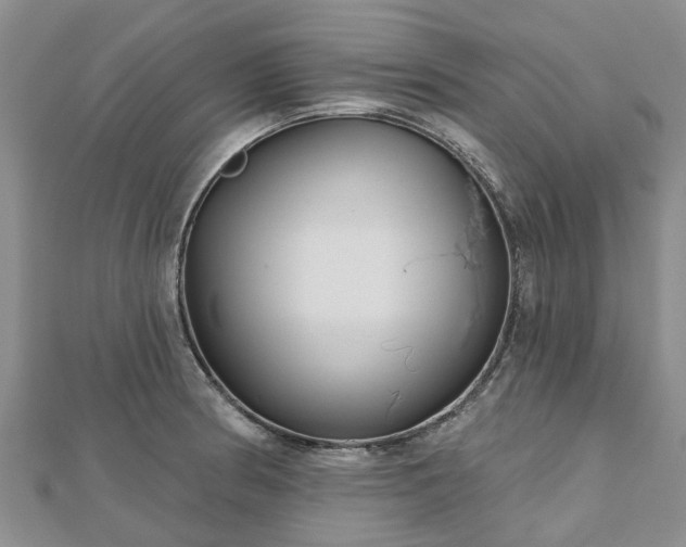 X0000112481186200908241248