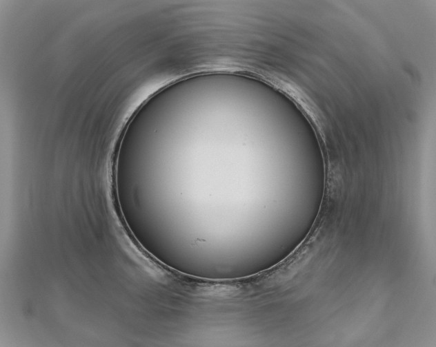 X0000112481187200908241248