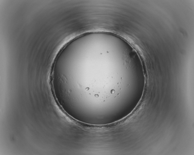 X0000112481189200908241247