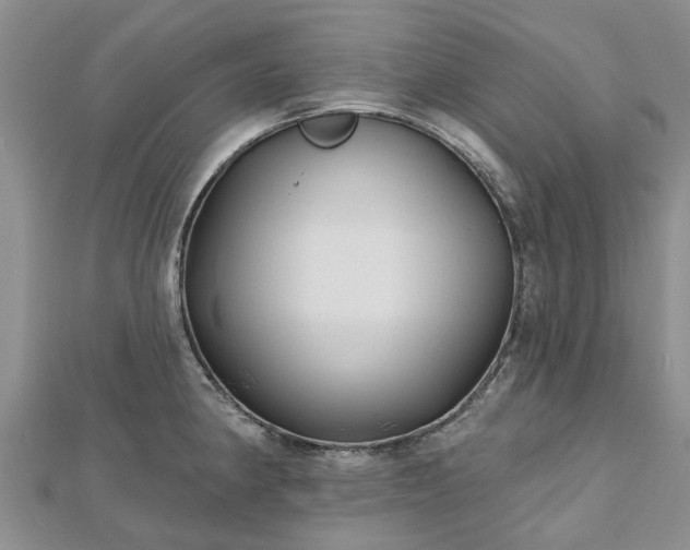 X0000112481190200908241247
