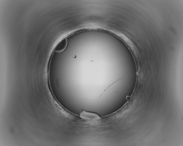 X0000112481191200908241247