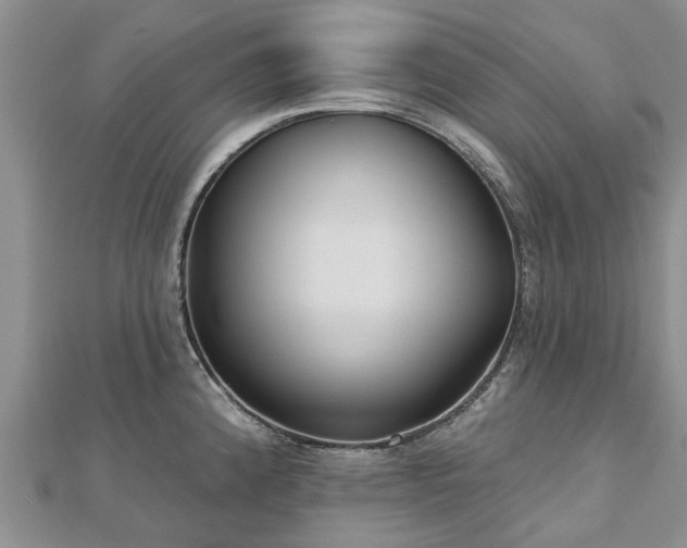 X0000112481192200908241247