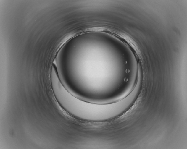 X0000112481193200908241247