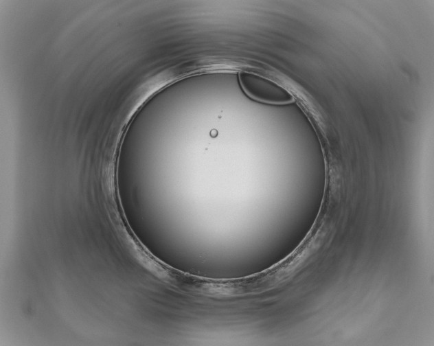 X0000112481194200908241247