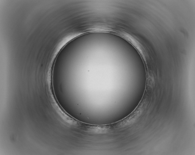 X0000112481195200908241247