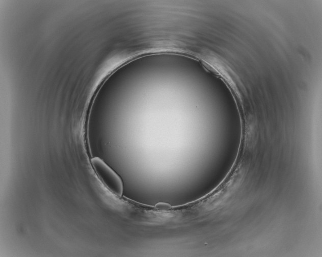 X0000112481197200908241247