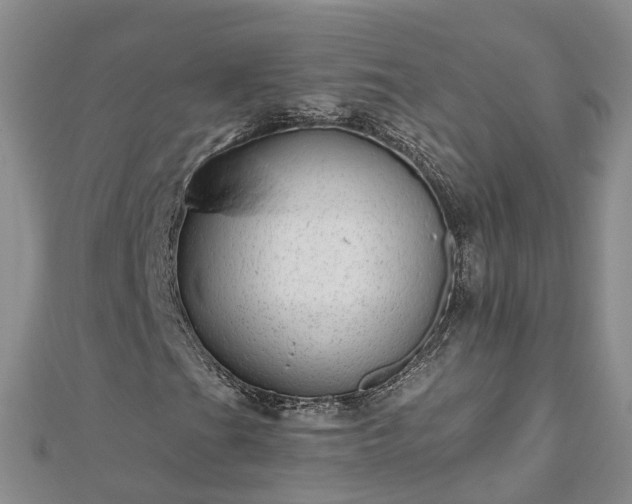X0000112481201200908241247