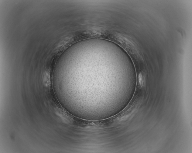 X0000112481203200908241247