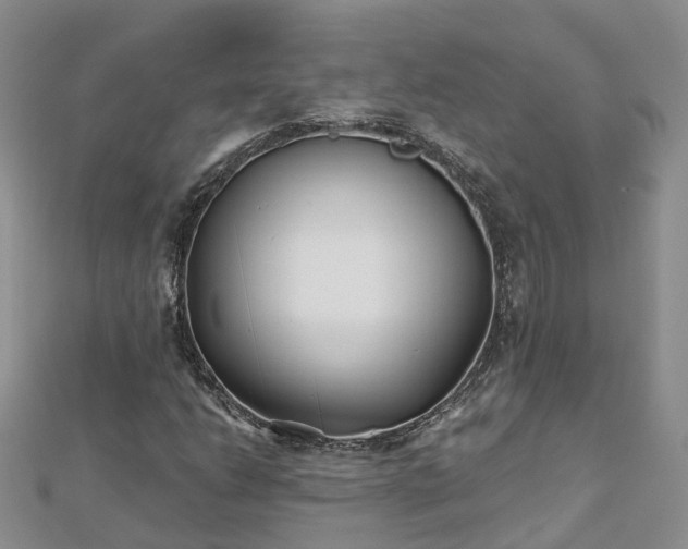 X0000112481206200908241247