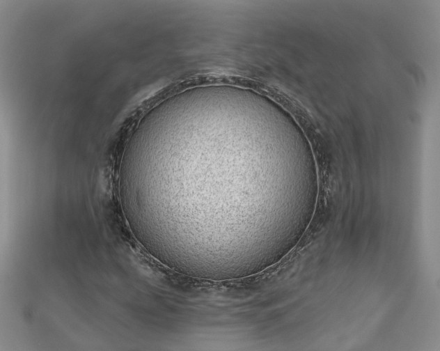 X0000112481207200908241247