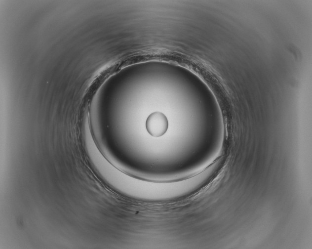 X0000112481210200908241247
