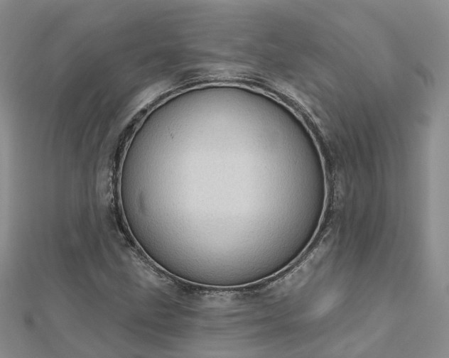 X0000112481211200908241247