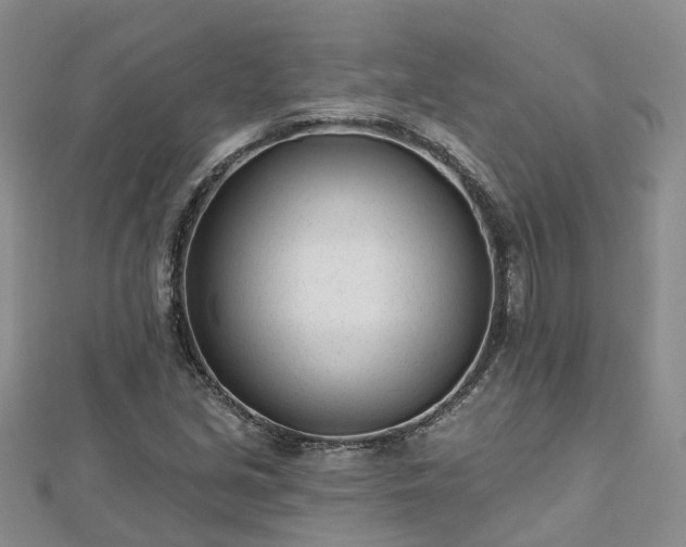 X0000112481213200908241247