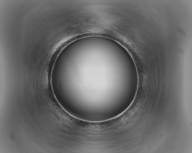 X0000112481214200908241247