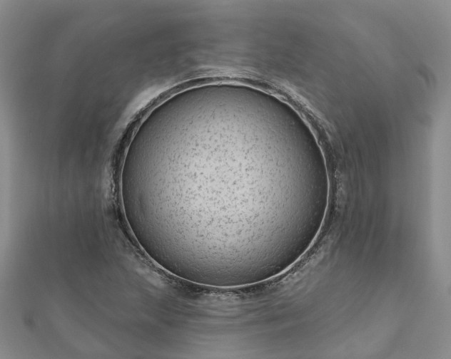 X0000112481215200908241247
