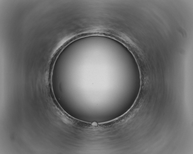 X0000112481216200908241247