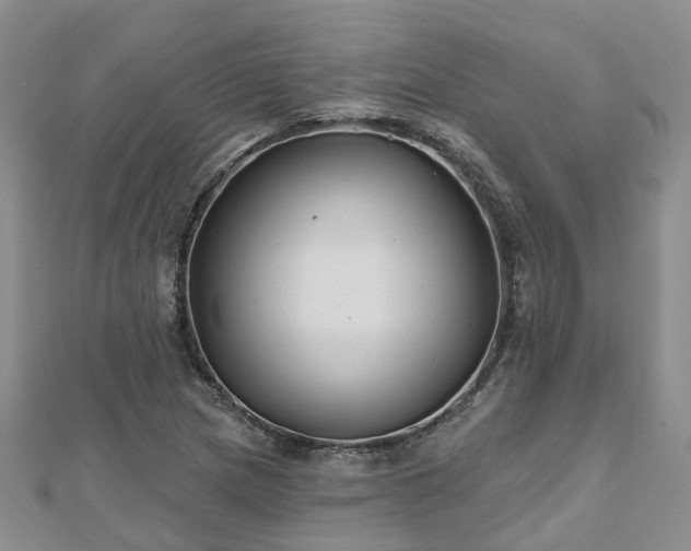 X0000112481217200908241247