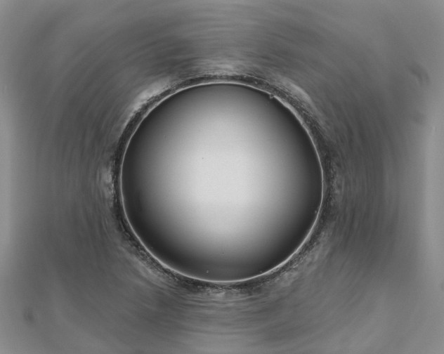 X0000112481218200908241247