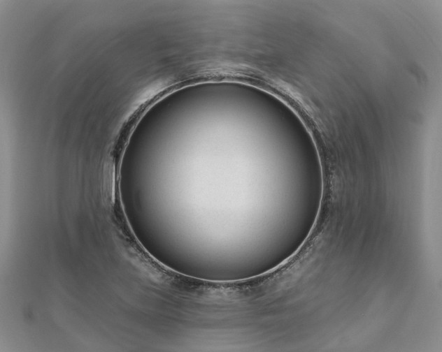 X0000112481219200908241247