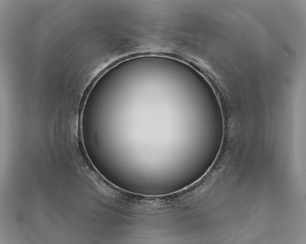 X0000112481220200908241247