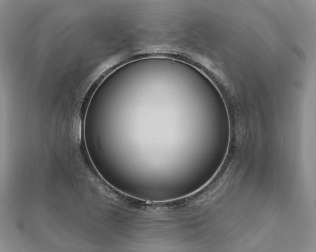 X0000112481221200908241247