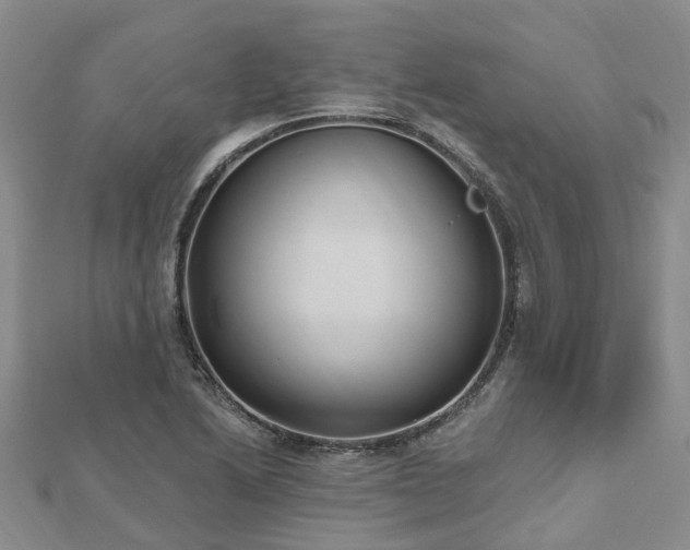 X0000112481222200908241247